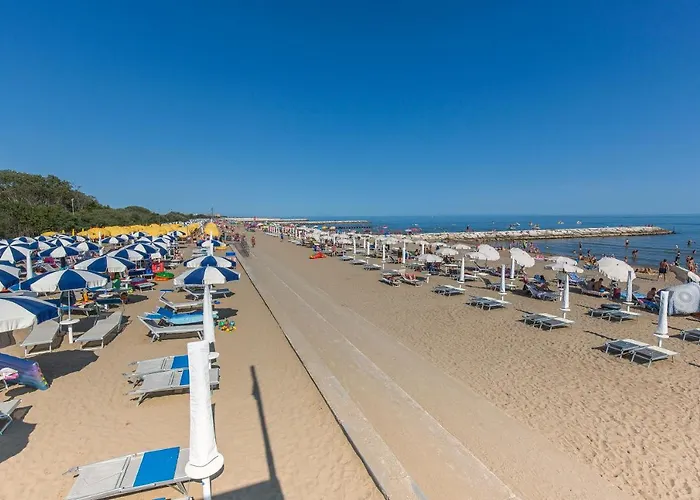 Betulle Lido Altanea *